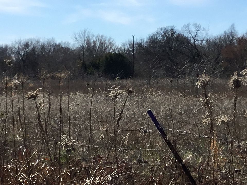2nd image of CR 4481
