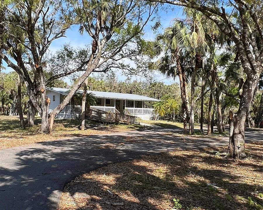 50 Palm Dr