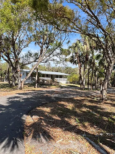 50 Palm Dr Photo 1