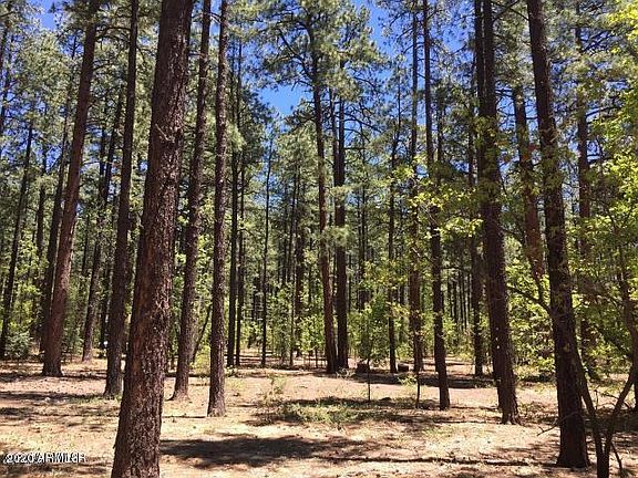 4th image of 2983 Cedar Ln Lot 89
