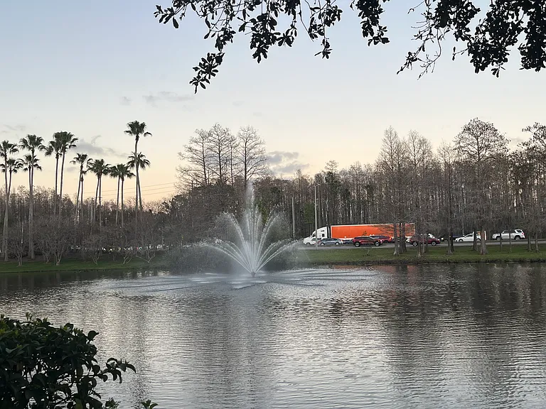 Lake view
