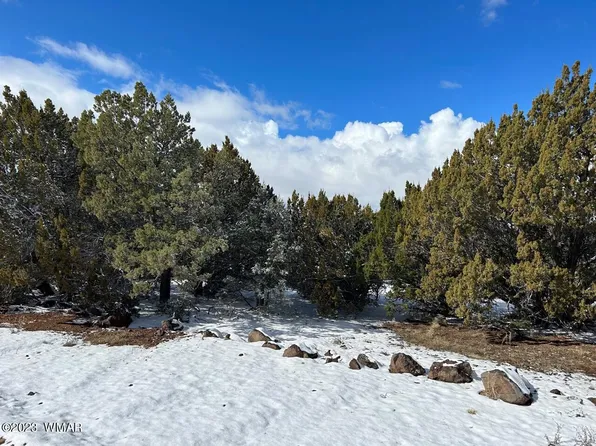 44 Uphill Trl, Vernon, AZ 85940