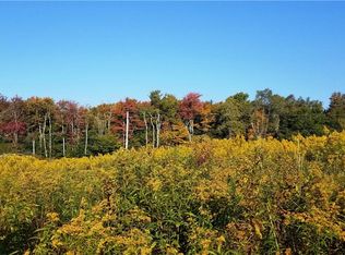 276 Breezy Hill Rd, Parksville, NY 12768