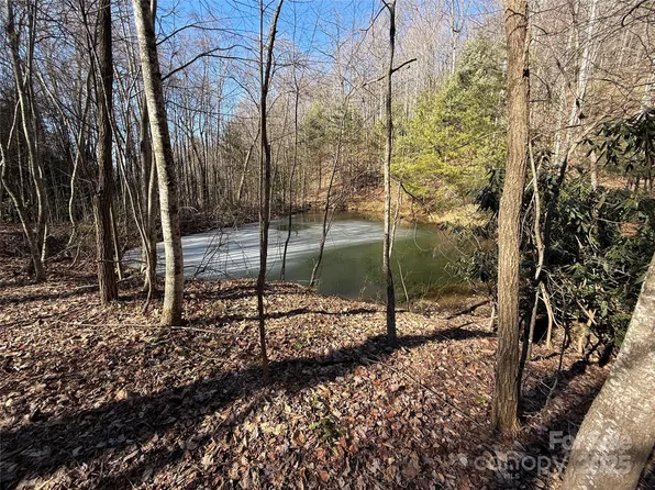 Casey Mountain Rd #222B, Purlear, NC 28665