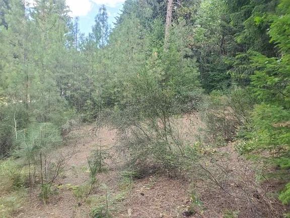 5th image of 0 Timber Dr