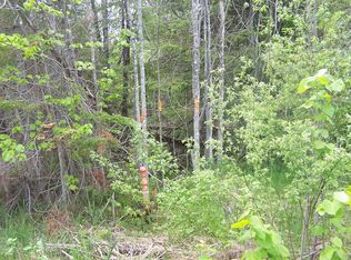 Paradise Lake Rd, Carp Lake, MI 49718