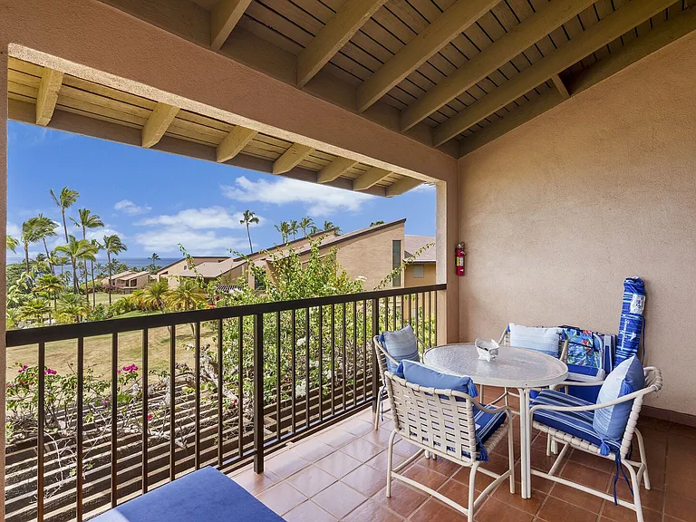Wailea Alanui Dr — Photo 7