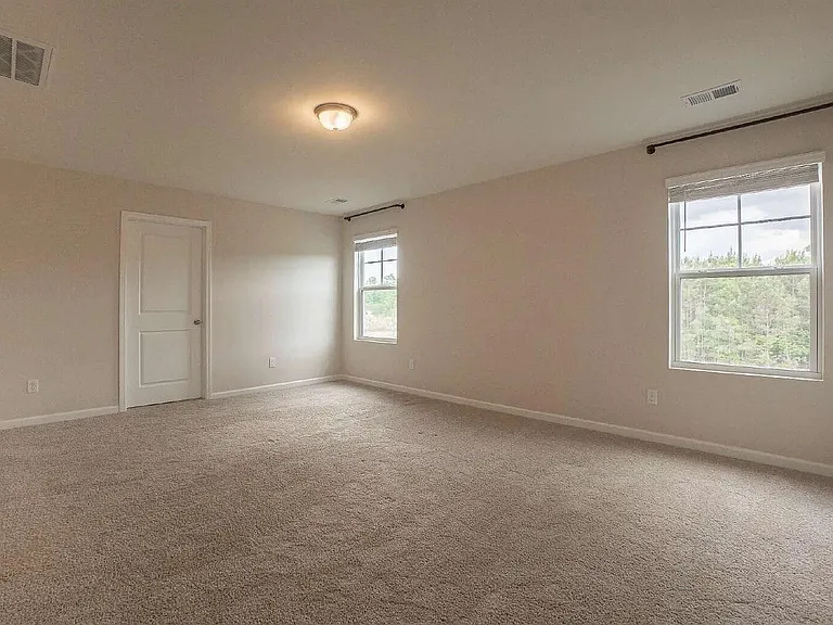 244 Savannah Wood Rd — Photo 32