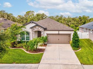 12925 Satin Lily Dr, Riverview, FL 33579