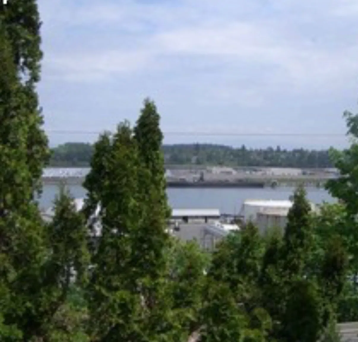 3 bed, 2300 sqft, $3,095 — Photo 3