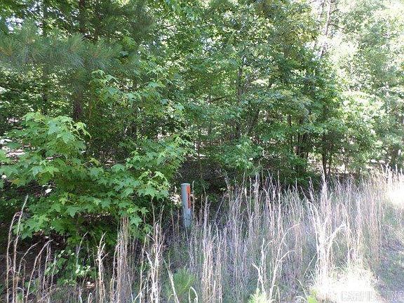 3rd image of LOT 29 Brush Mountain Trl Lot 29