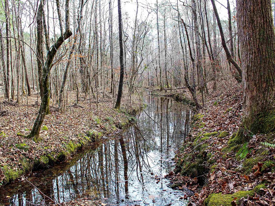 1st image of Reed Creek Dr #1