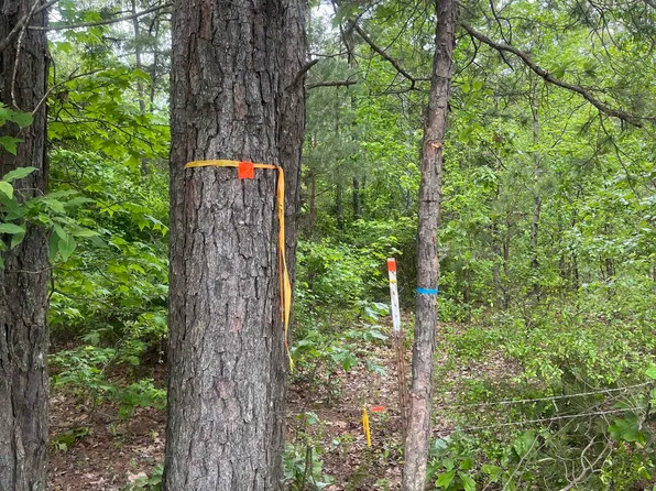 0 S Aaron Rd, Pontotoc, MS 38863