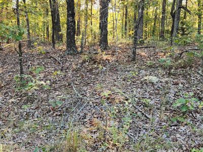 L 1 B Nokona Trce #2, Cherokee Village, AR, 72529