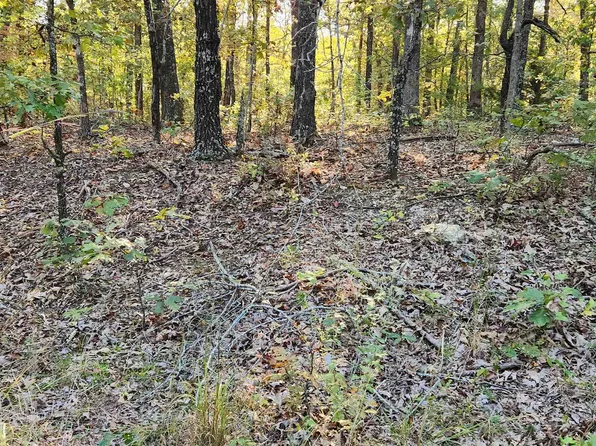 L 1 B Nokona Trce #2, Cherokee Village, AR 72529
