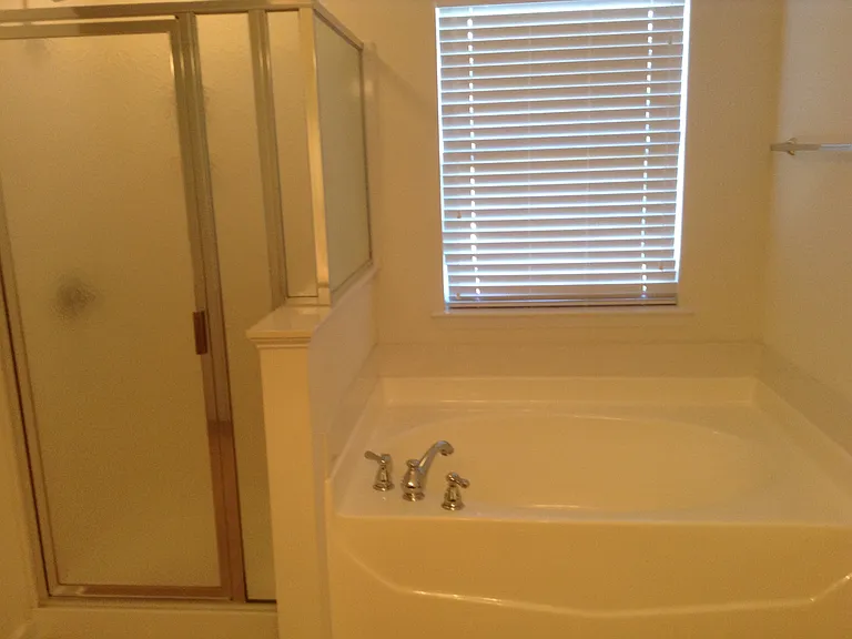 Primary Bathroom 2