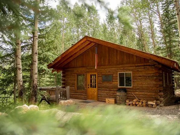 1001 CR 17 #Aspen Cabin, Lake City, CO 81235