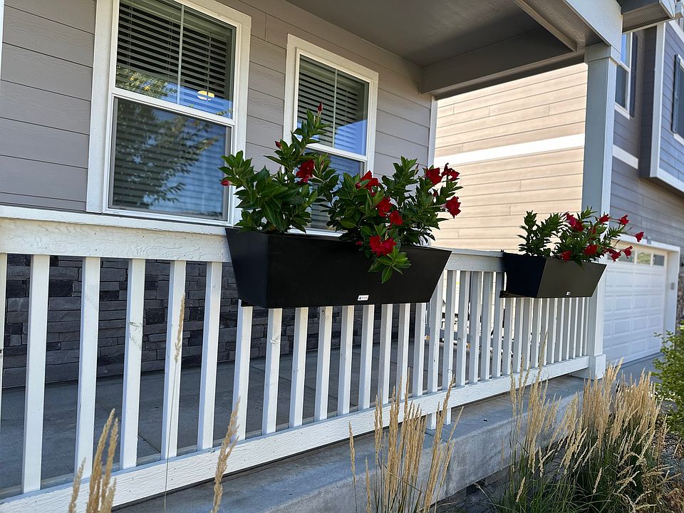 Front house
