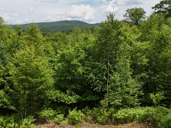 4 Youngs Road, Canton, ME 04221