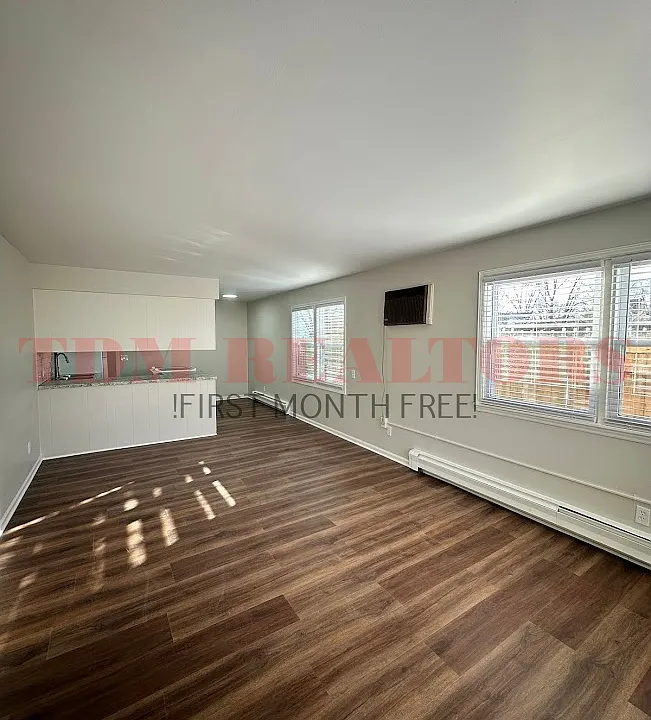 302 E Clinton St #4