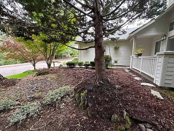 Front Yard