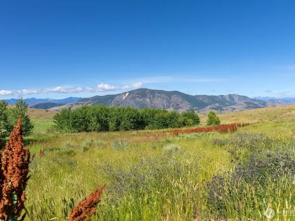 121 Finley Canyon Road, Twisp, WA 98856