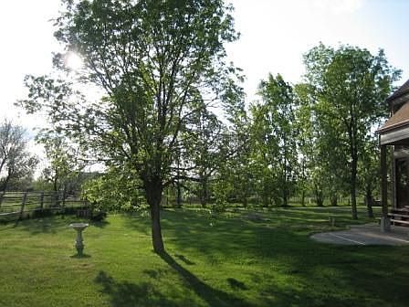 Backyard lined w/cottonless cottonwoods 