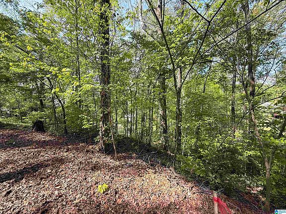 2nd image of 4 Dogwood Rd #4