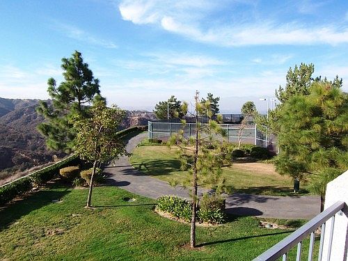 4th image of 2604 Avenida Del Vis APT 204