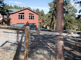 199 Chickadee Ln, Bailey, CO 80421