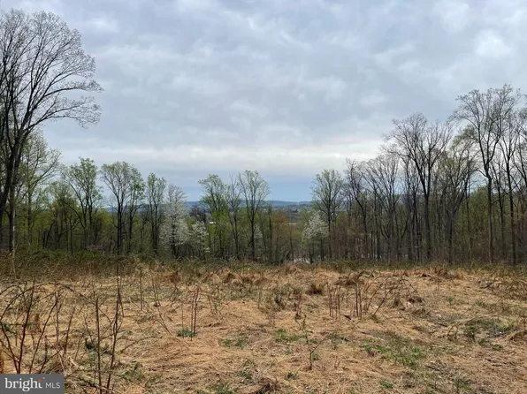 S Mountain Rd, Knoxville, MD 21758