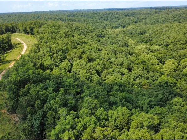 632 Private Road 421-35, West Plains, MO 65775