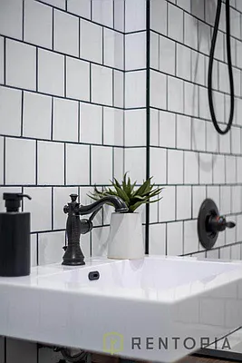 Rented by Rentopia | media 60