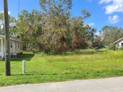 Martin Luther King Dr LOT 14, Bowling Green, FL, 33834