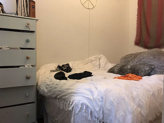 Rented by Aryeh Realty | media 4