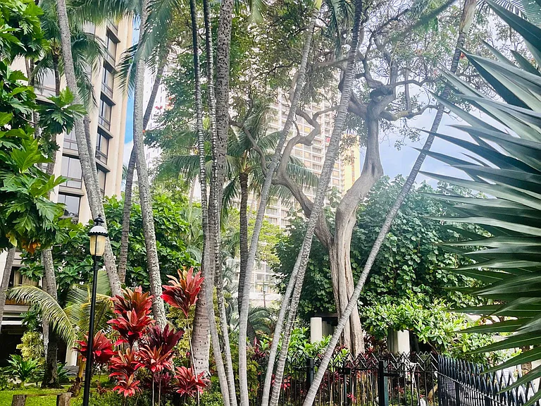 300 Wai Nani Way #2414 — Photo 30