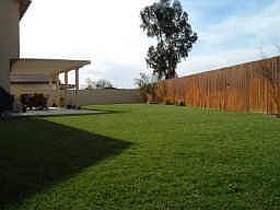 HUGE park-like backyard, large enough for a pool, gazebo and built-in BBQ!