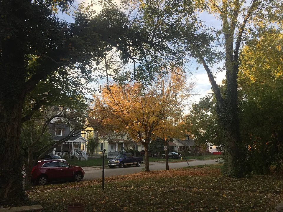 Front yard off Curzon