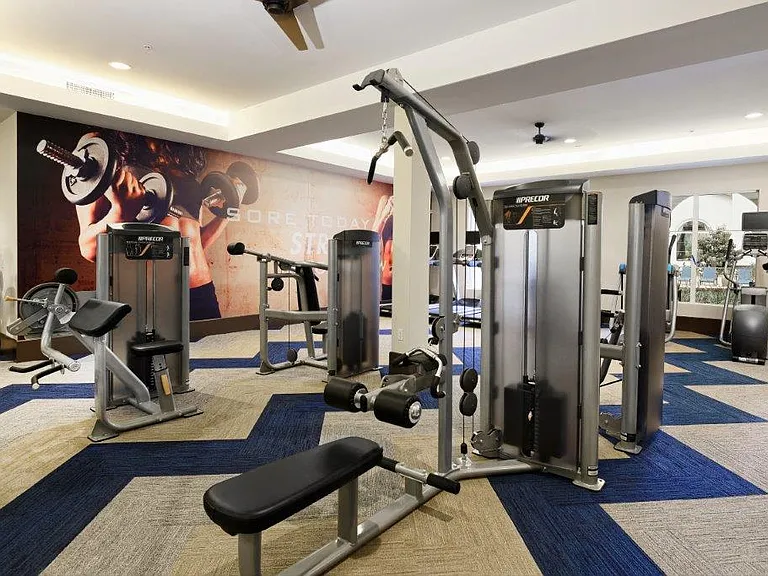 Your Fitness Hub