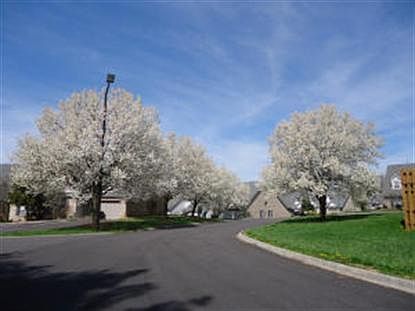 4th image of 3701 Saint Simon Way