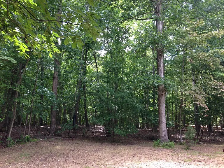 4329 American Dr #B — Photo 12