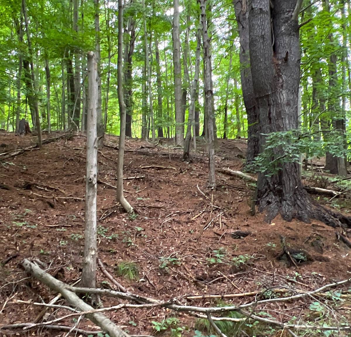 V/l Rte 19A, Portageville, NY 14536 MLS 11224502 Zillow