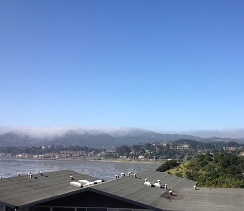 View from Deck