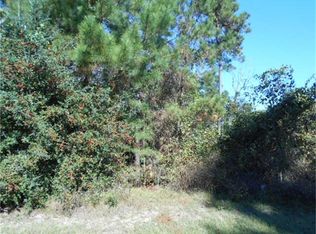 25430 Candleridge Ct, Magnolia, TX 77355