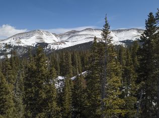 562 Kimmes Ln, Breckenridge, CO 80424