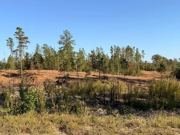 PARCEL 3 Haglersville Rd, Mansfield, TN 38236