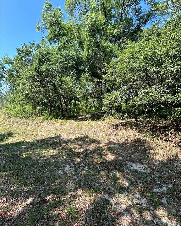 1st image of 8024 N Yellowbird Ave