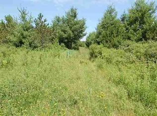 11100 170th Ave, Leroy, MI 49655