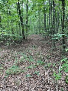 0 Old Collins Tpke, Deer Lodge, TN, 37726