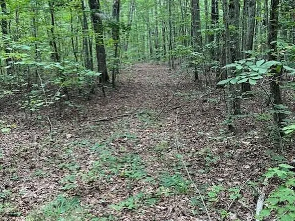 0 Old Collins Tpke, Deer Lodge, TN 37726